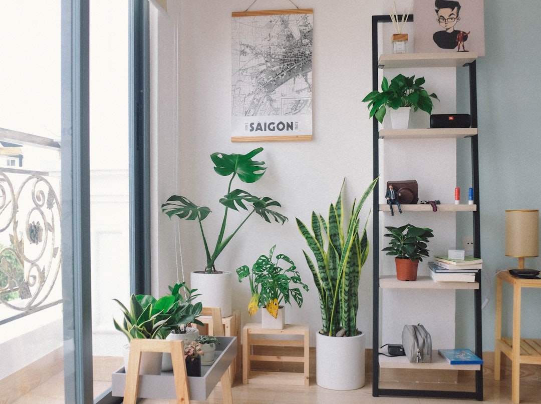 Groene planten als natuurlijke luchtverfrisser binnen. Groene planten als natuurlijke luchtverfrisser binnen.