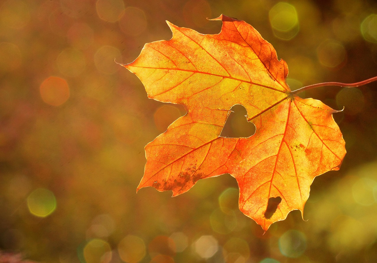 Energiezuinige herfstverlichting accentueert huisingang.