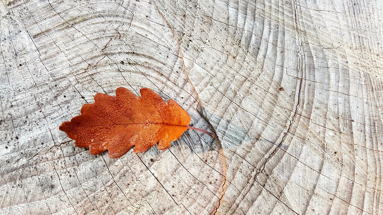 Gezellige herfstvensterbank met pompoenen en kaarsen.